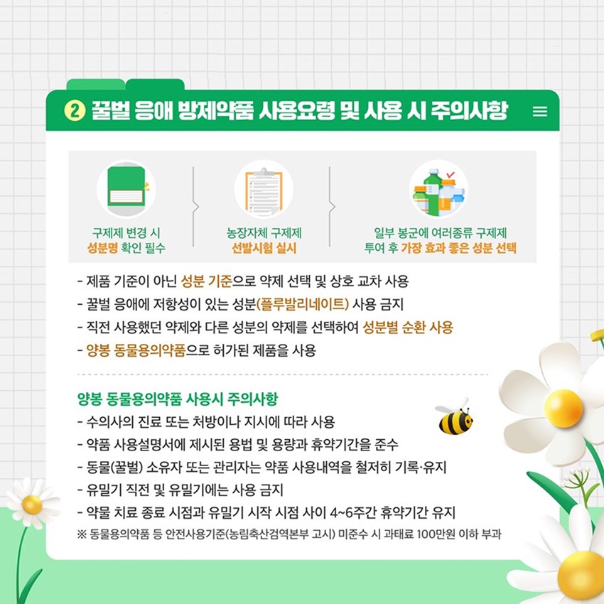 2.봄철 꿀벌 응애 집중 방제! 실시간 및 주의사항을 알려드려요!